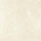 Noble White Cream Wall and Floor Tile 12×12"